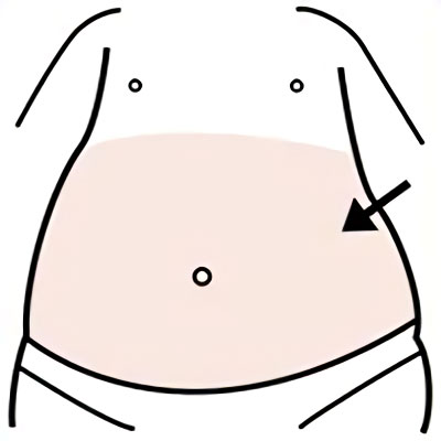 BARRIGA